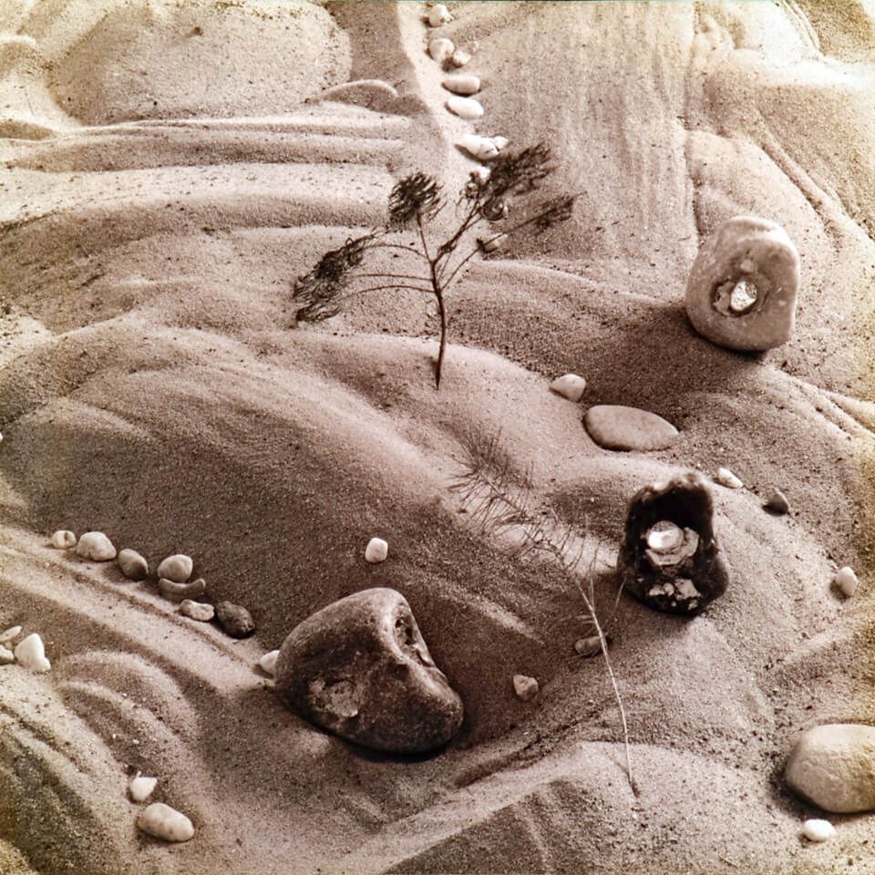 Landart akciók